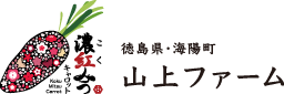 濃紅みつキャロット